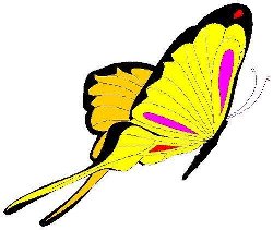 BUTTRFLY.JPG (13K)